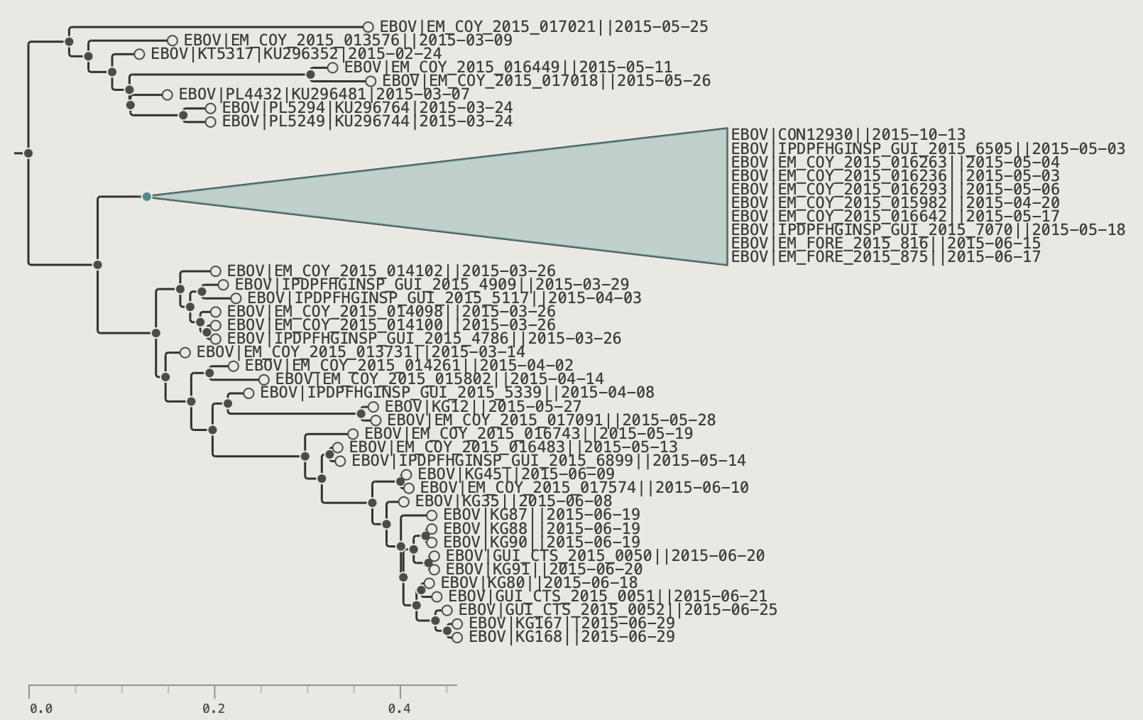 Collapsed clade fully expanded