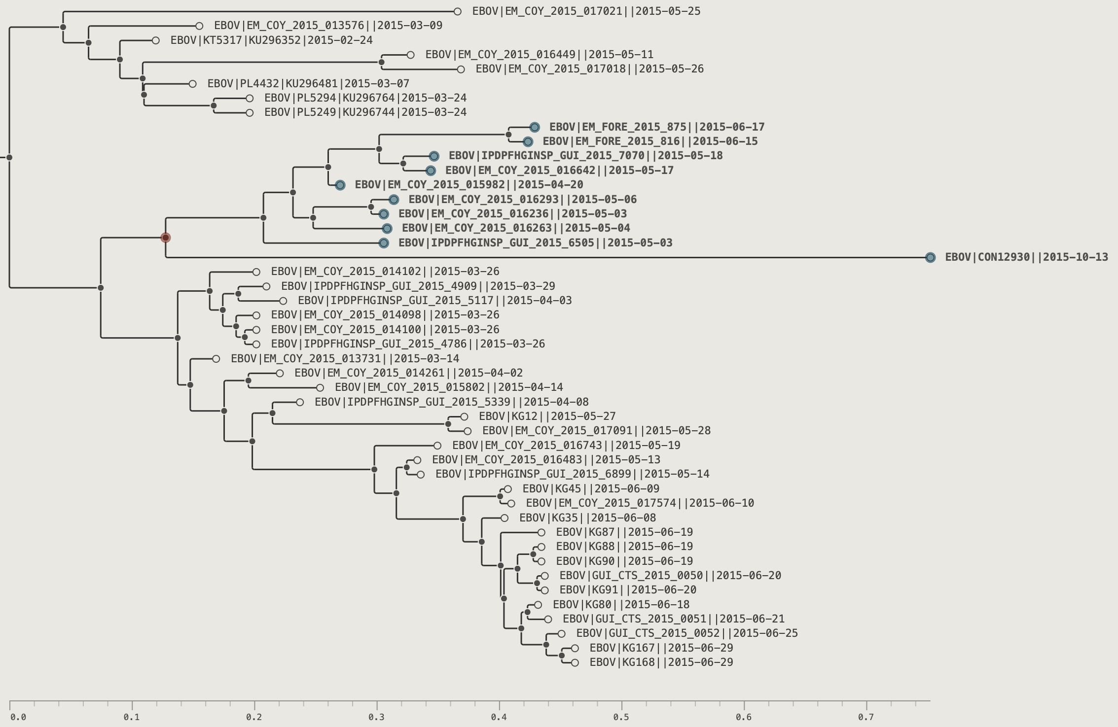 Tree after rotating the entire clade
