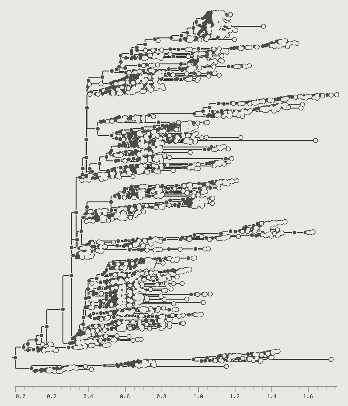 EBOV tree with ascending order