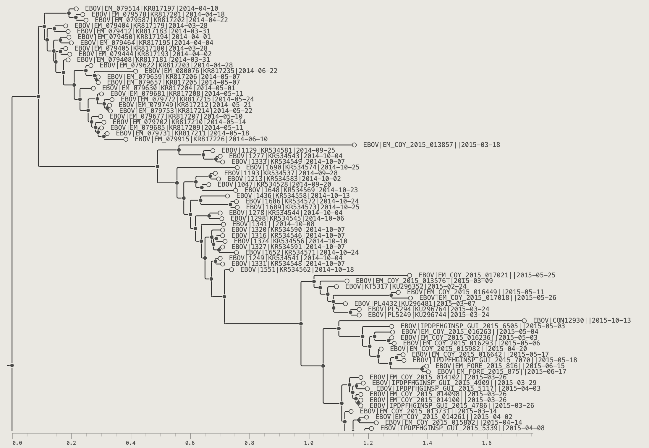 EBOV tree zoomed in